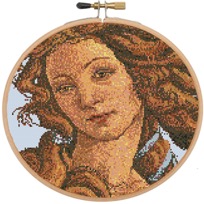 botticelli0027s-birth-of-venus-framed-view